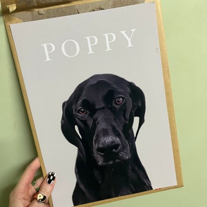 Ollie added a photo of their purchase