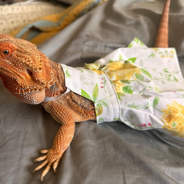 Summer Beach Bearded Dragon Short and Sunglasses MADE IN AMERICA - Etsy