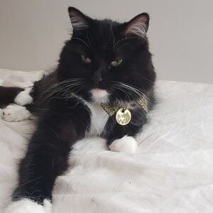 Andi さんが購入した商品の写真を追加しました