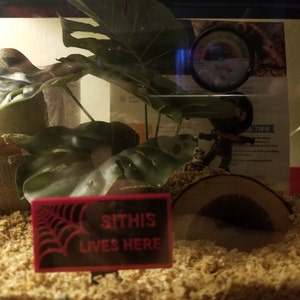 jimmy added a photo of their purchase
