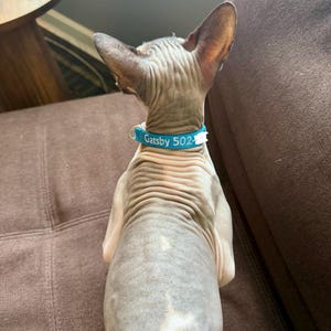 Claire added a photo of their purchase