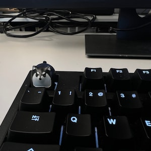 Allie heeft een foto van de aankoop toegevoegd