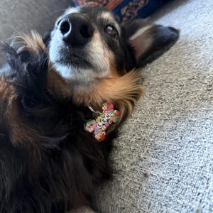 Ell added a photo of their purchase