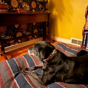 NIKKI ha añadido una foto de su compra