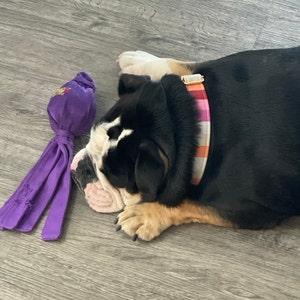 Megan added a photo of their purchase