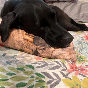 JoAnn added a photo of their purchase