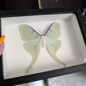 Dese added a photo of their purchase