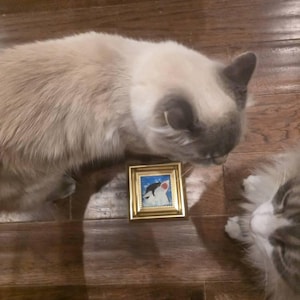 Hannah added a photo of their purchase