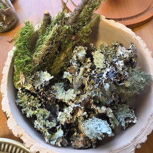 Gabriella ha añadido una foto de su compra