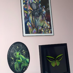 Bret added a photo of their purchase