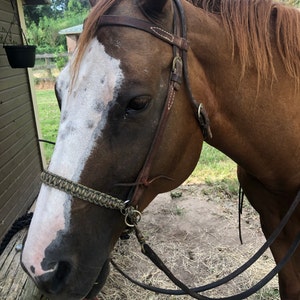 Hayley ha añadido una foto de su compra