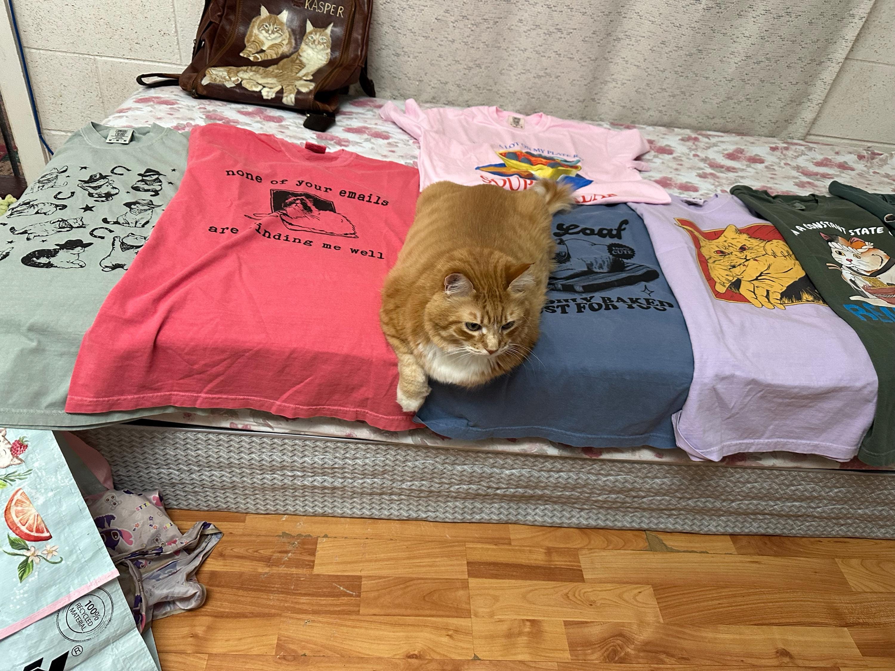 Customer photo 1