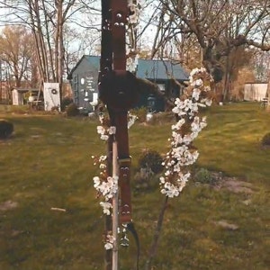 Leonie added a photo of their purchase