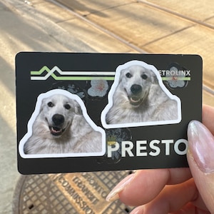 Amy added a photo of their purchase