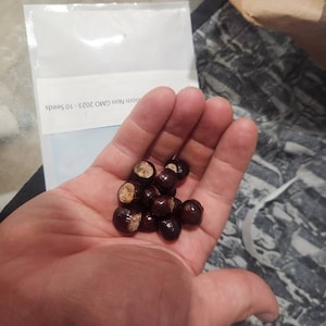 Henry added a photo of their purchase