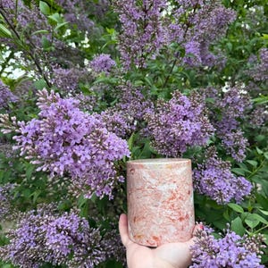 Angie added a photo of their purchase