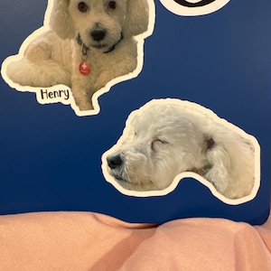 Kari added a photo of their purchase
