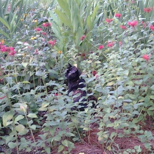 Lenny added a photo of their purchase