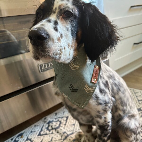 Dog Bandana - Green Geometric
