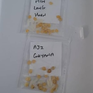 Shatterx added a photo of their purchase