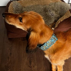 Joanne added a photo of their purchase