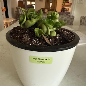 Angela added a photo of their purchase