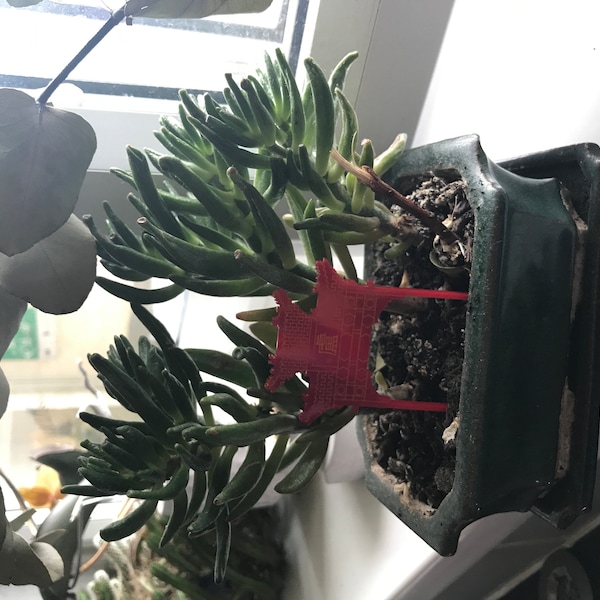 Asian Inspired Shibari Harness Robe Jacket • Backless Kimono • Chinese ...