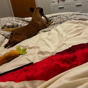 SALLY ha añadido una foto de su compra