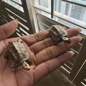 Nickie added a photo of their purchase
