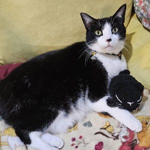 Tiana ha añadido una foto de su compra