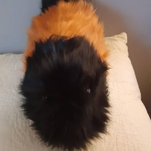 Wubby added a photo of their purchase