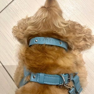 Evi added a photo of their purchase