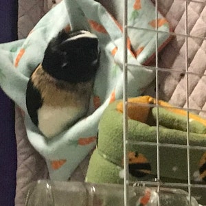 Arden added a photo of their purchase