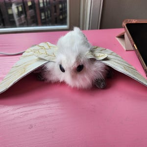 Lemon added a photo of their purchase
