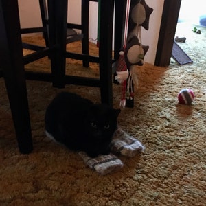 michele added a photo of their purchase