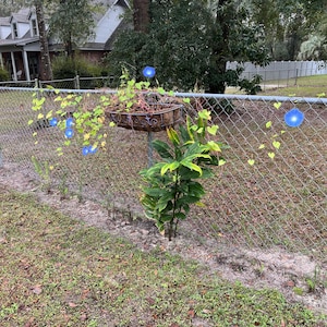 Elizabeth added a photo of their purchase