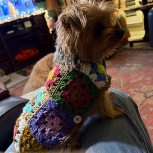 PK ha aggiunto una foto del proprio acquisto