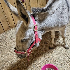 Barb added a photo of their purchase
