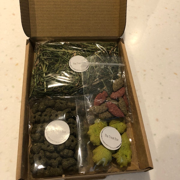 Guinea Pig Treat Box - Etsy UK