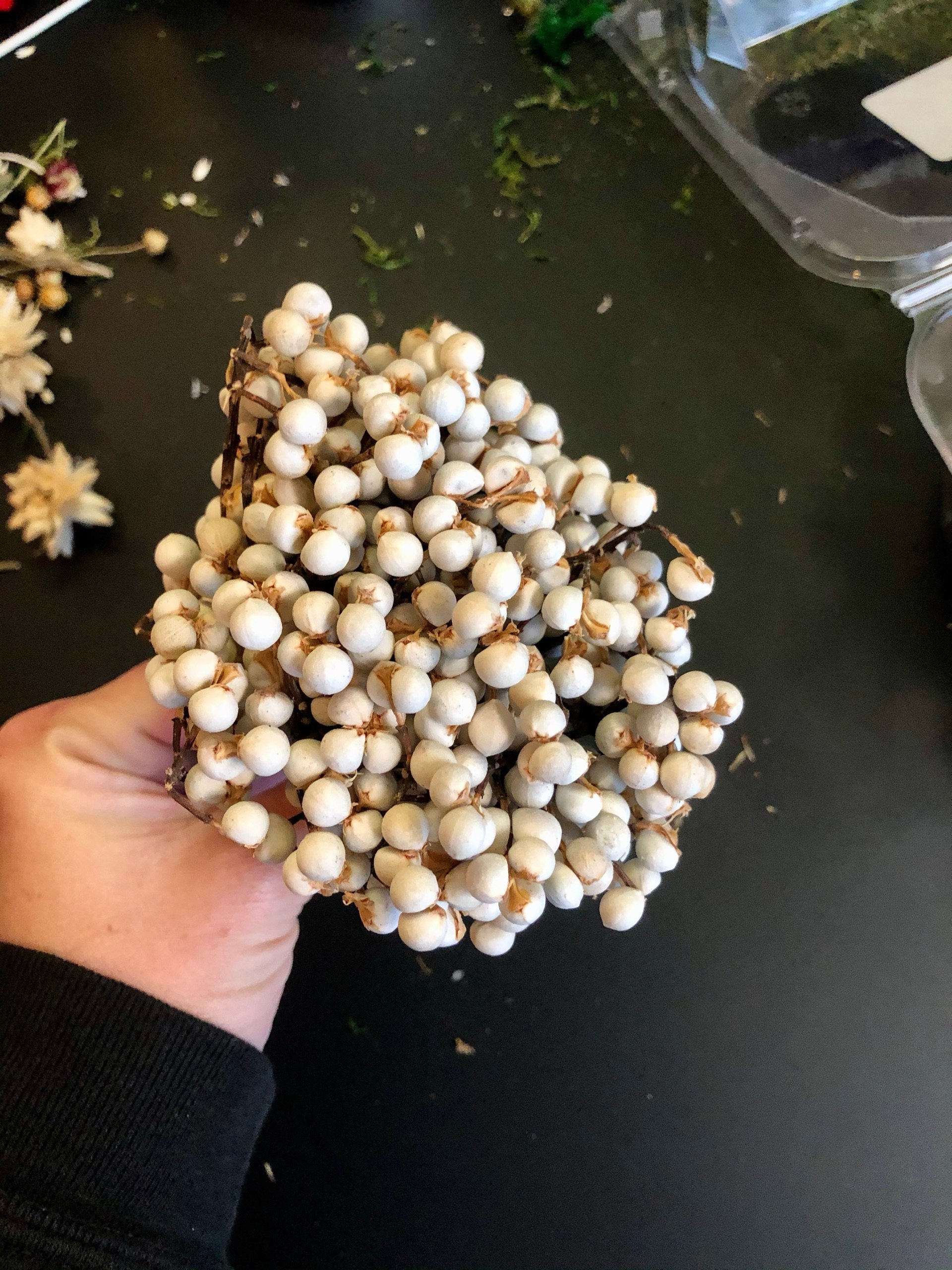 Dried Tallow Berry Imported