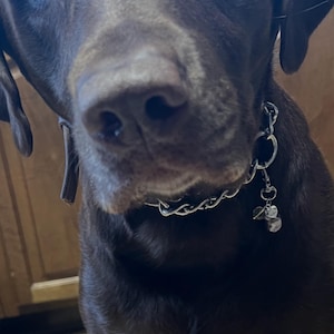 Kim ha aggiunto una foto del proprio acquisto