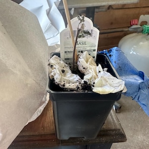 Brandy added a photo of their purchase