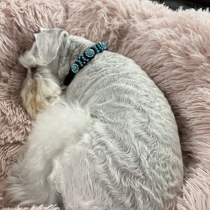 Kathy added a photo of their purchase