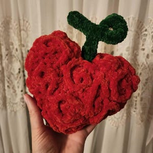 Rose added a photo of their purchase