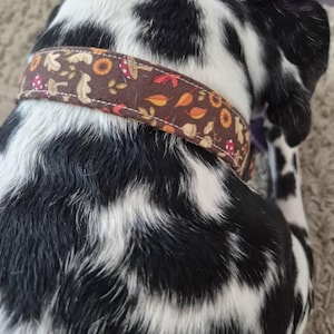 Jemma added a photo of their purchase