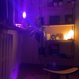 Guðrún added a photo of their purchase