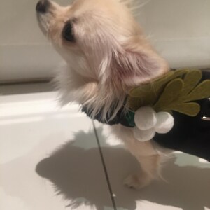 vivienne added a photo of their purchase