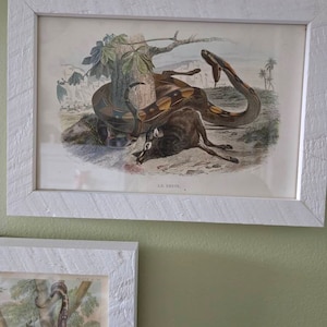 Olga added a photo of their purchase