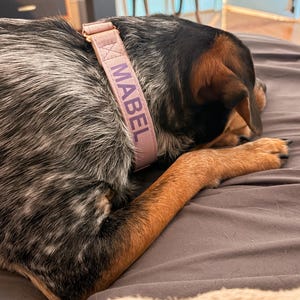 stephanie added a photo of their purchase