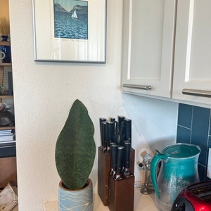 Etsy buyer added a photo of their purchase